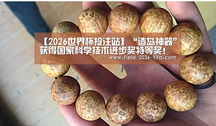 【2026世界杯投注站】“造岛神器”获得国家科学技术进步奖特等奖!(图1) 2026世界杯投注站