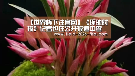 2026世界杯投注站