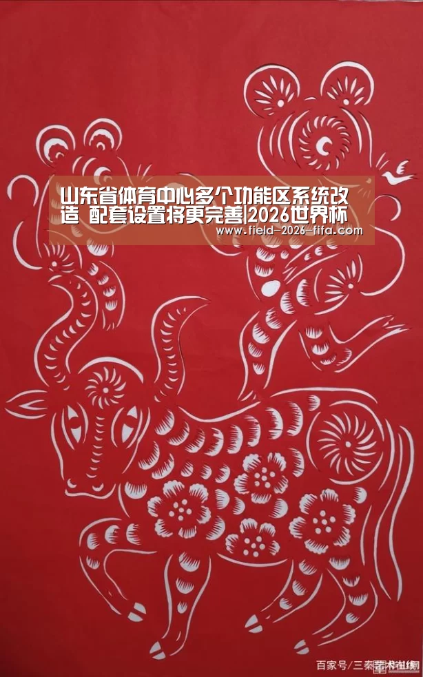 山东省体育中心多个功能区系统改造 配套设置将更完善|2026世界杯投注站(图4) 世界杯买球